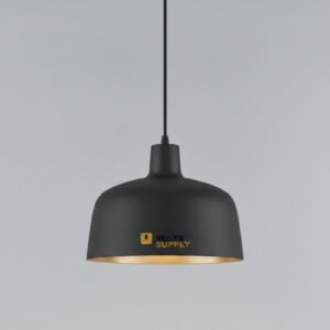 Pendant Ceiling Light
